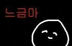 내가 다시 루톡 살려줄게