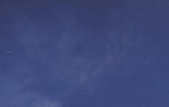 배경화면 짤풀이