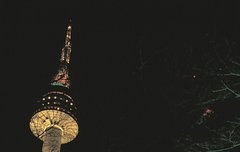 배경화면 짤풀이