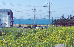 배경화면 짤풀이