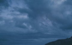 내가 또 배경화면 들고와쬬