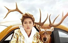 사스미와 사슴이 사슴가족들