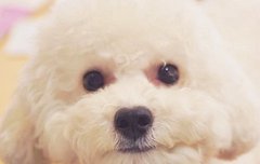 내가와따 예아~