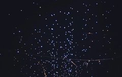 루줌들아 배경화면 언냐왔가