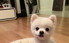 방슥지 개명함 ㅎㅎ?