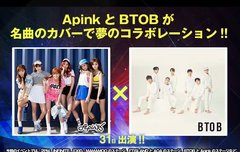 나니...? 일본에서 비투핑크..?