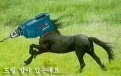 배경화면 언냐가 웃짤 뿌려줄게 18