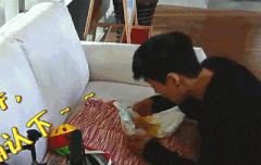 허니들 이거봄?