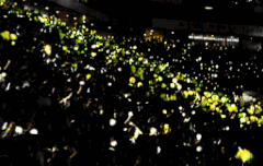 복덩이들아 오늘 무슨날이게