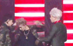 벌들아 음지문화라서 미안한데..