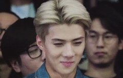 하다하다 비비톡까지...