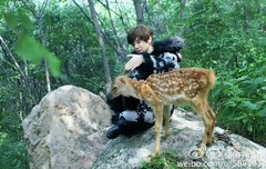 사슴 과 노루(狍子) 둘다 상징하는 루한