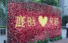 도묘필기 제작발표회 레드카펫과 화환