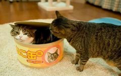 축구못해도 다 골키퍼