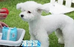 미친 이짤 진짜 너무귀여워서 죽어버릴거같아