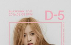 로제사진 개이쁜듯