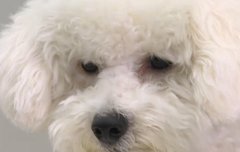 새호니가 나 맨날 예쁘대써오.