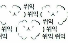 비비 넌 조켔다