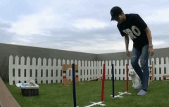 비비야 너 왜 주인 말 안들어?