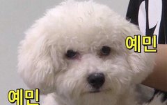 울나라선수들잘해야하눈데. .