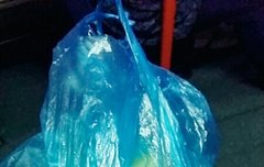 사담) 저기 밑에 라임색 얘기에