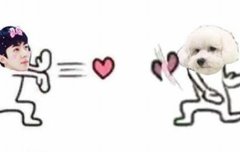 비비야 이거봐ㅋㅋㅋㅋㅋㅋ