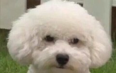 비비 방송나오는데 표정관리 1도못함