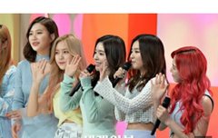 둥이 새앨범기사