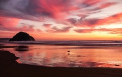 ㅂㄷ)이 사진 그12모