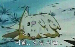 이건내고백이담긴노래