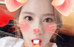 트와이스 원탑발언 자제 해주세요