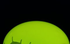 내 뿅이는 언제쯤 쓰게 될까