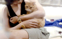 냥이한테 넘 넘 다정한 루한