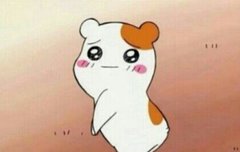 이지은 에비츄설