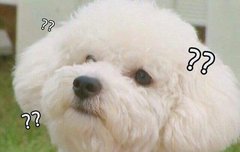 ㅂㄷ)픽 좀 찾아줘