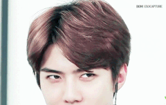 비비야 팬인데 싸인 좀..