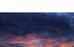 비비야 하늘 이쁘다 보고 있니?