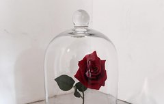 (+추가(낭스타그램