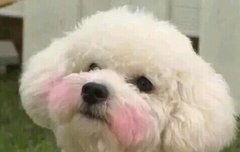 비비야 나 오늘 생일이야!