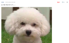 이거 조카 귀여웤ㅋㅋㅋㅋㅋㅋㅋㅋㅋㅋㅋㅋㅋㅋㅋㅋㅋㅋㅋㅋㅋ