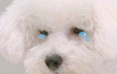 엑톡가면 정신병걸릴것같다 저년들은 안지치나