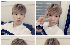 로하들 최애, 차애 누구임?