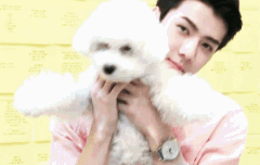 비비야... 나도 왔어