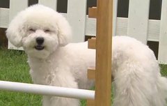 헐ㅋㅋ요새 엑톡노잼어그로여서 안왔었는데