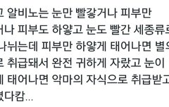 ㅅㄷ)셎쮼) 이거 완전 셋쮼이지 않니?