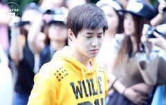 레몬 빵떡짤이 뭐야??