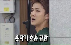 여기가 윌리스 멍멍이비비팬톡인가요?