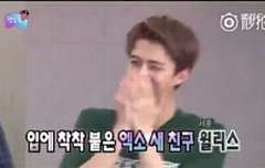 아아.. 그는 좋은 새훈이였습니다