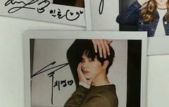 시바 도배 꺼져라