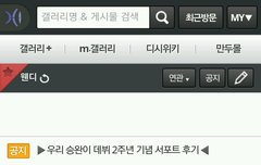 조이 이프로그램